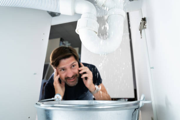 Best Shower Repair Services  in Cahokia, IL