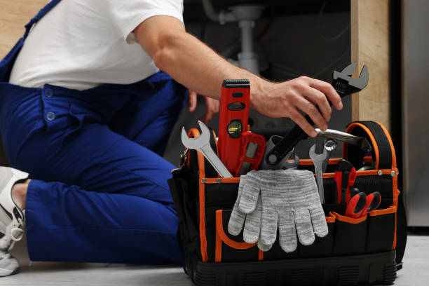 Best Clogged Drain Plumber  in Cahokia, IL