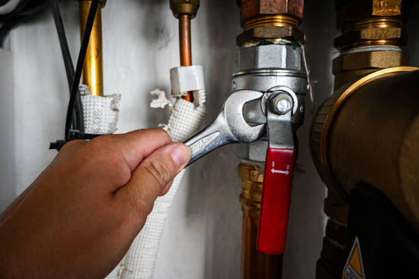 Best Shower Repair Services  in Cahokia, IL